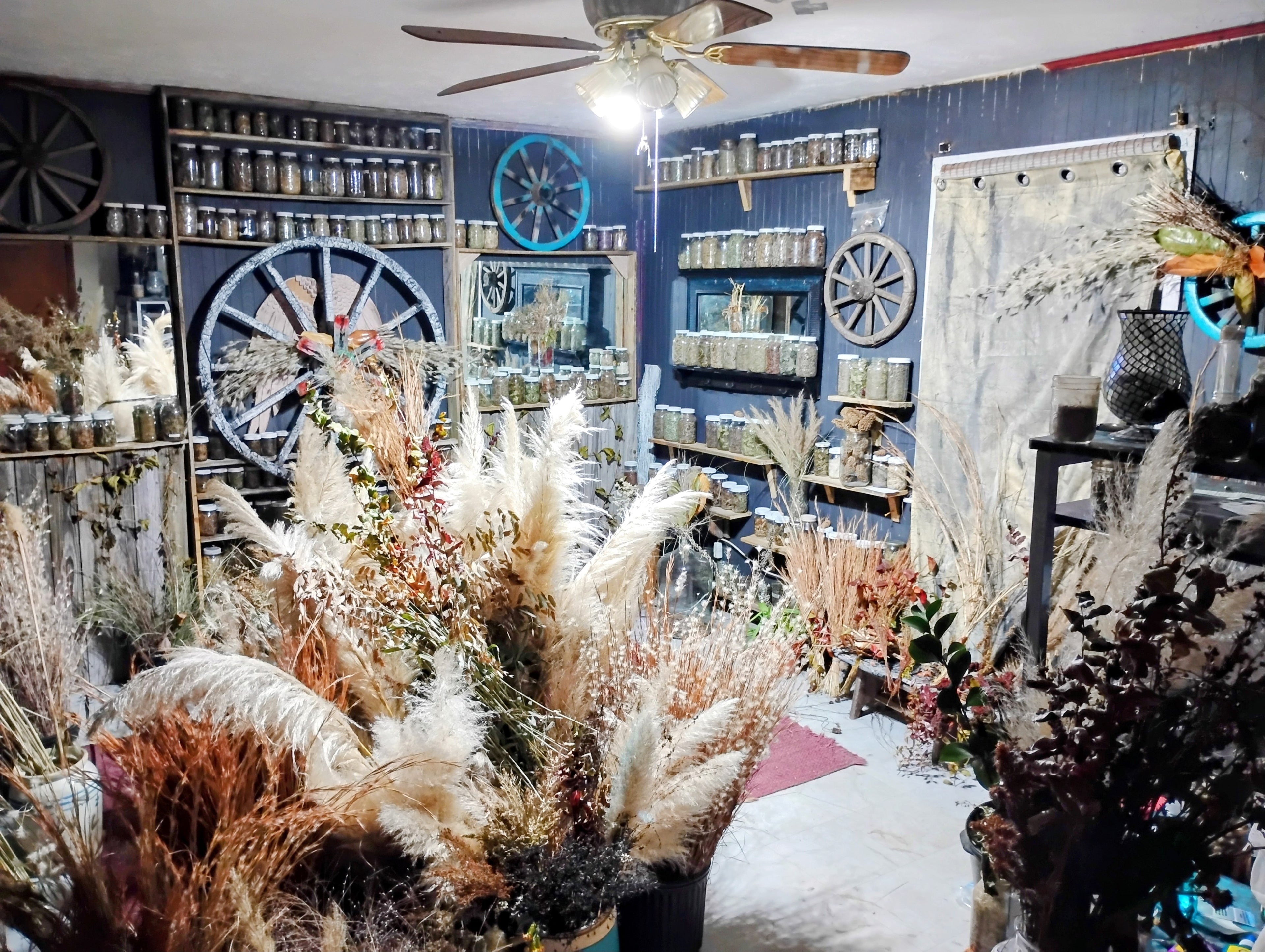 Decorative Pampas Grass