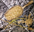 3 Oz. Organic Goldenrod (cut & sifted)