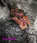 Natural Dried Fresh Poinsetta Petals & Leaf -( Qty 2 cups)
